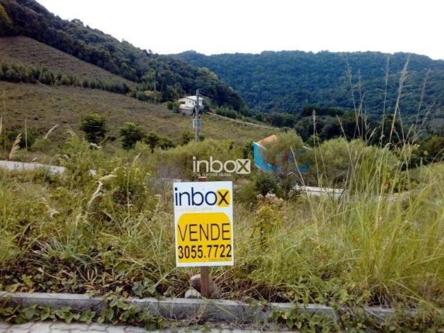 Terreno / Lote para Venda em Bento Gonçalves/RS Caminho da Eulália