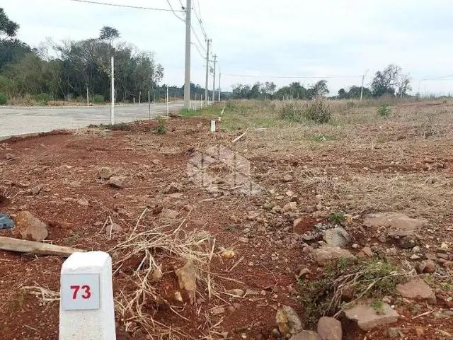 Terreno / Lote para Venda em Bento Gonçalves/RS Caminho da Eulália