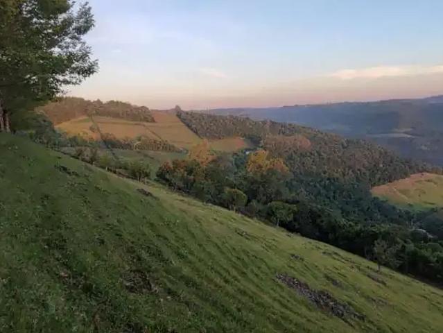 Terreno / Lote para Venda em Bento Gonçalves/RS Centro