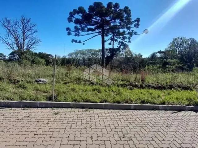 Terreno / Lote para Venda em Bento Gonçalves/RS Centro