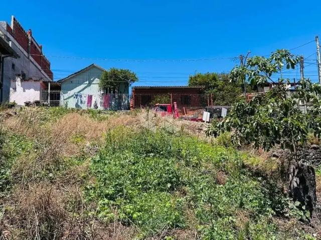 Terreno / Lote para Venda em Bento Gonçalves/RS Cidade Alta