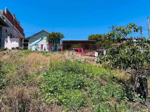 Terreno / Lote para Venda em Bento Gonçalves/RS Cidade Alta