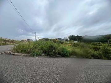 Terreno / Lote para Venda em Bento Gonçalves/RS Cruzeiro