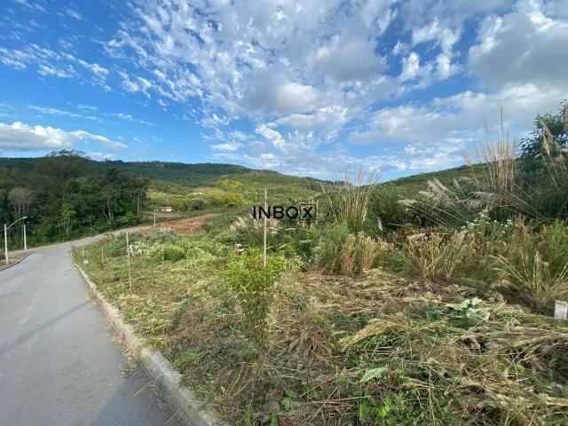 Terreno / Lote para Venda em Bento Gonçalves/RS Cruzeiro