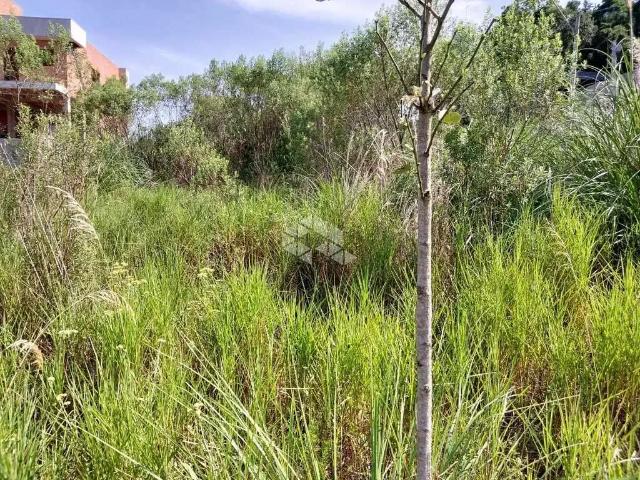 Terreno / Lote para Venda em Bento Gonçalves/RS Cruzeiro
