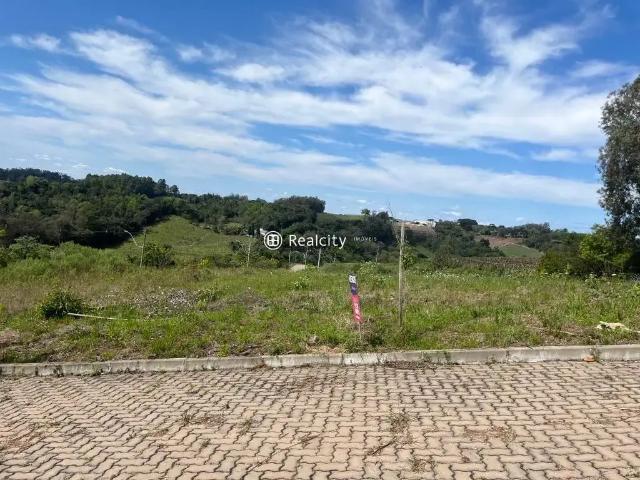 Terreno / Lote para Venda em Bento Gonçalves/RS Faria Lemos Distrito
