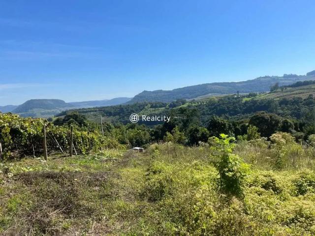 Terreno / Lote para Venda em Bento Gonçalves/RS Faria Lemos Distrito