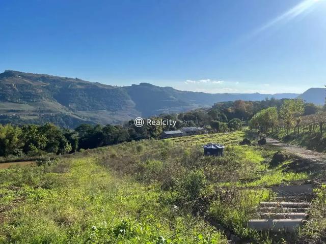 Terreno / Lote para Venda em Bento Gonçalves/RS Faria Lemos Distrito