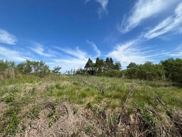 Terreno / Lote para Venda em Bento Gonçalves/RS Faria Lemos Distrito
