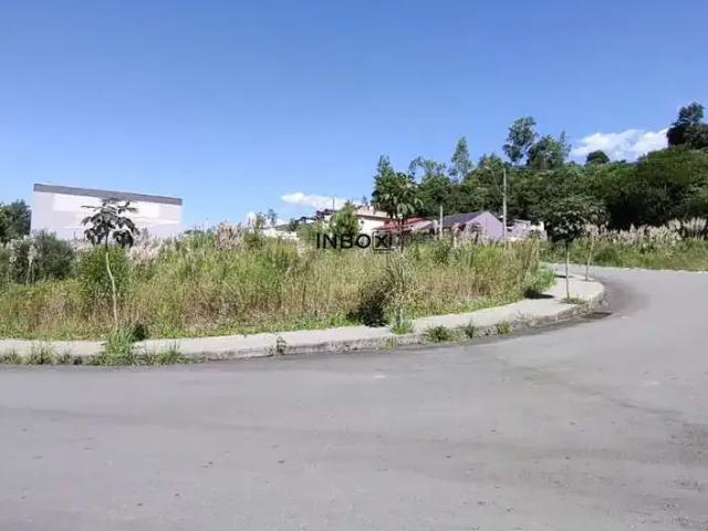 Terreno / Lote para Venda em Bento Gonçalves/RS Fátima
