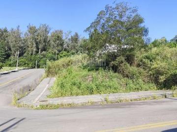Terreno / Lote para Venda em Bento Gonçalves/RS Fátima