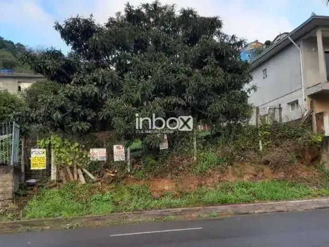 Terreno / Lote para Venda em Bento Gonçalves/RS Fátima