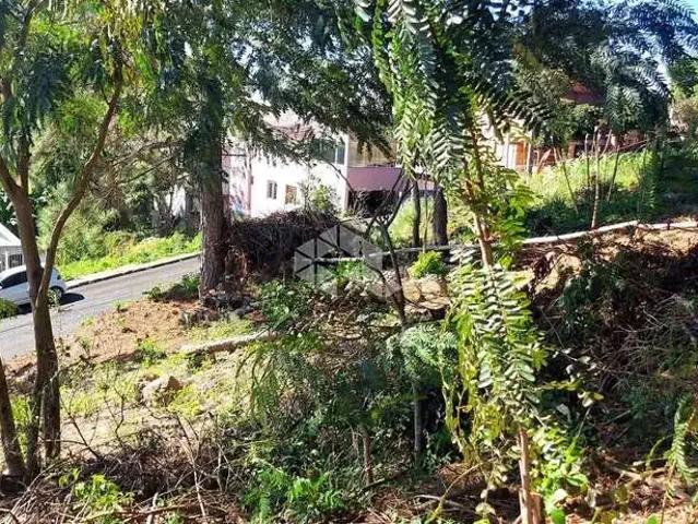 Terreno / Lote para Venda em Bento Gonçalves/RS Fátima