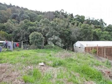 Terreno / Lote para Venda em Bento Gonçalves/RS Fátima