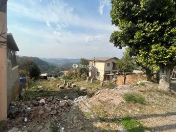 Terreno / Lote para Venda em Bento Gonçalves/RS Fenavinho