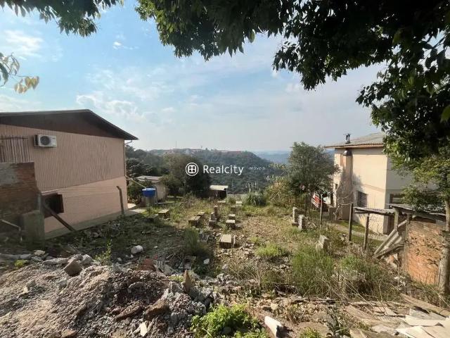Terreno / Lote para Venda em Bento Gonçalves/RS Fenavinho
