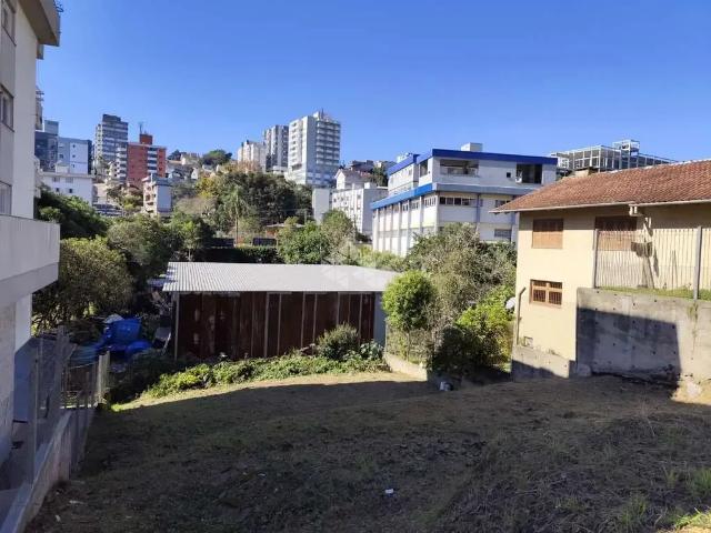 Terreno / Lote para Venda em Bento Gonçalves/RS Humaitá