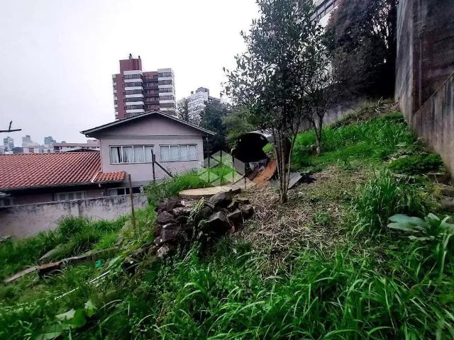 Terreno / Lote para Venda em Bento Gonçalves/RS Humaitá