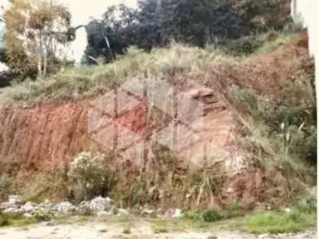 Terreno / Lote para Venda em Bento Gonçalves/RS Humaitá