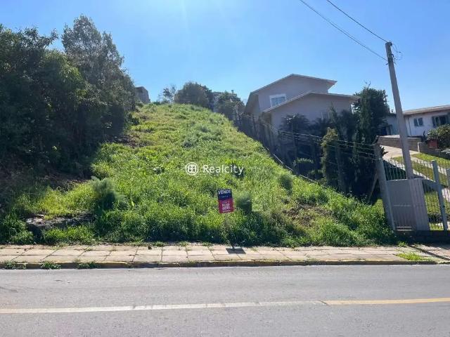 Terreno / Lote para Venda em Bento Gonçalves/RS Imigrante