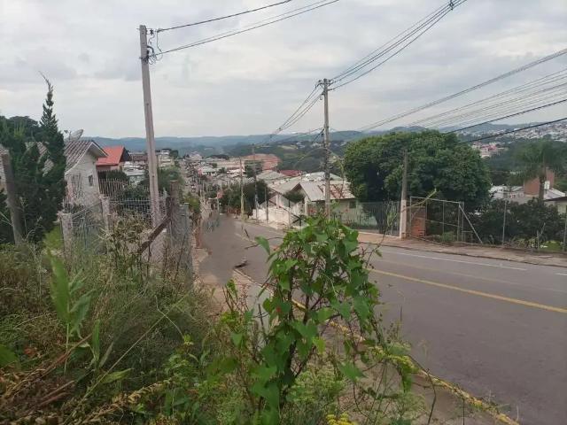 Terreno / Lote para Venda em Bento Gonçalves/RS Imigrante
