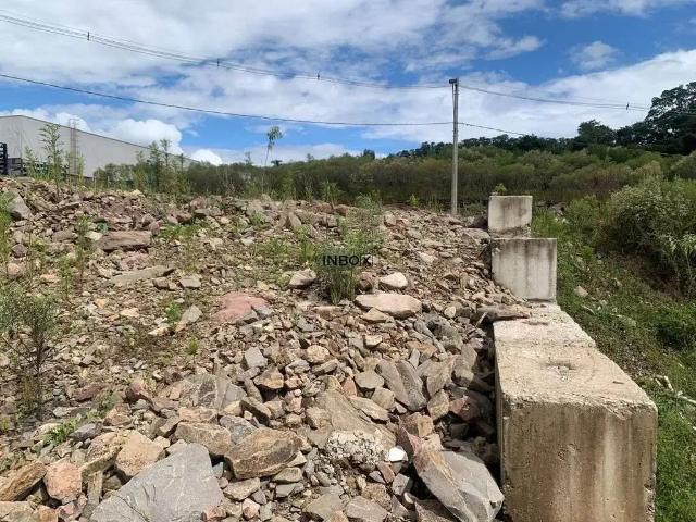 Terreno / Lote para Venda em Bento Gonçalves/RS Industrial