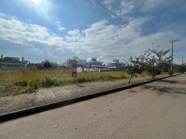 Terreno / Lote para Venda em Bento Gonçalves/RS Licorsul