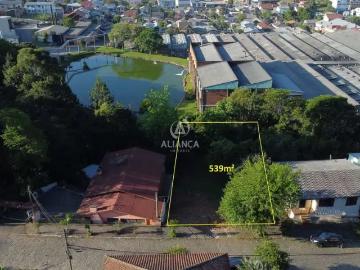 Terreno / Lote para Venda em Bento Gonçalves/RS Licorsul