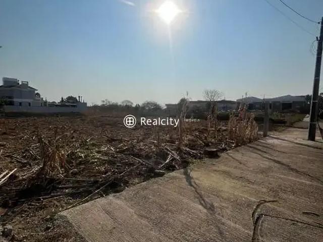 Terreno / Lote para Venda em Bento Gonçalves/RS Licorsul