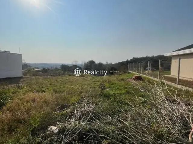 Terreno / Lote para Venda em Bento Gonçalves/RS Licorsul