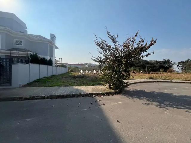 Terreno / Lote para Venda em Bento Gonçalves/RS Licorsul