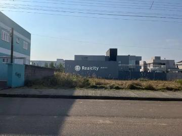 Terreno / Lote para Venda em Bento Gonçalves/RS Licorsul