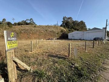 Terreno / Lote para Venda em Bento Gonçalves/RS Licorsul
