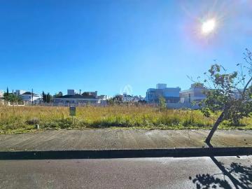 Terreno / Lote para Venda em Bento Gonçalves/RS Licorsul