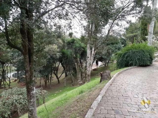 Terreno / Lote para Venda em Bento Gonçalves/RS Maria Goretti