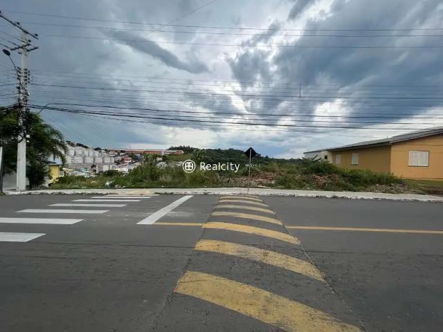 Terreno / Lote para Venda em Bento Gonçalves/RS Ouro Verde