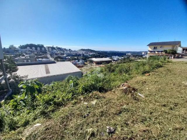 Terreno / Lote para Venda em Bento Gonçalves/RS Ouro Verde