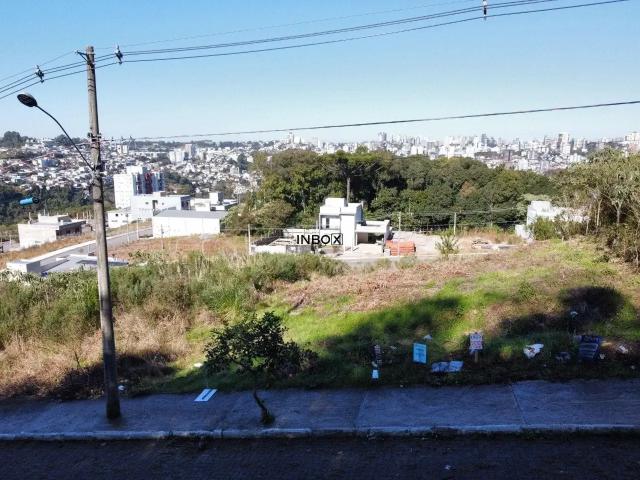 Terreno / Lote para Venda em Bento Gonçalves/RS Ouro Verde