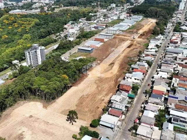 Terreno / Lote para Venda em Bento Gonçalves/RS Ouro Verde