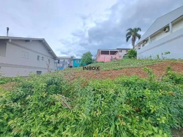 Terreno / Lote para Venda em Bento Gonçalves/RS Ouro Verde