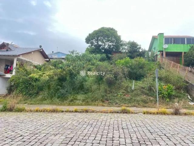 Terreno / Lote para Venda em Bento Gonçalves/RS Ouro Verde
