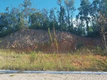 Terreno / Lote para Venda em Bento Gonçalves/RS Planalto