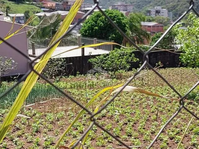 Terreno / Lote para Venda em Bento Gonçalves/RS Progresso