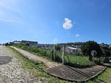Terreno / Lote para Venda em Bento Gonçalves/RS Progresso