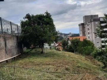Terreno / Lote para Venda em Bento Gonçalves/RS Progresso