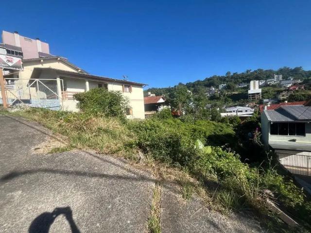 Terreno / Lote para Venda em Bento Gonçalves/RS Progresso