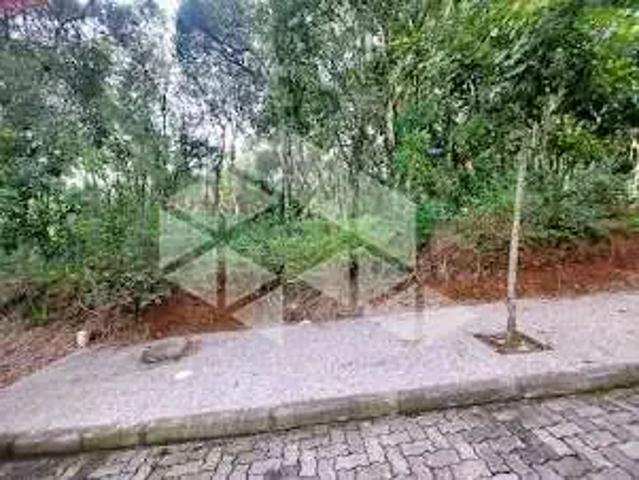 Terreno / Lote para Venda em Bento Gonçalves/RS Progresso
