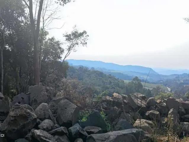Terreno / Lote para Venda em Bento Gonçalves/RS São Bento