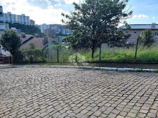 Terreno / Lote para Venda em Bento Gonçalves/RS São Francisco