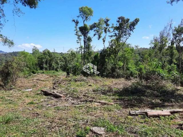 Terreno / Lote para Venda em Bento Gonçalves/RS São Pedro